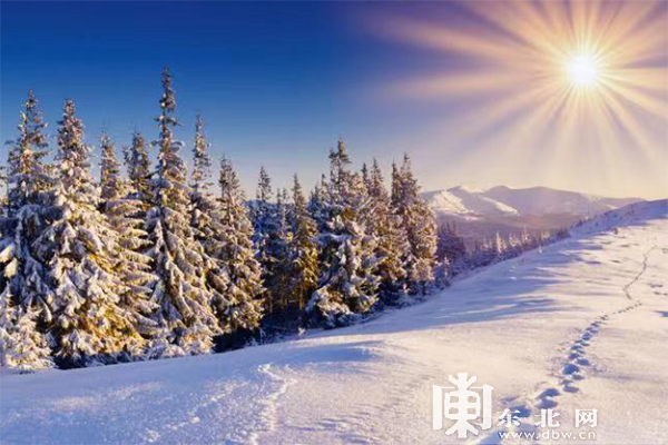 下雪啦！黑龙江奉上冰雪百景绚丽景致