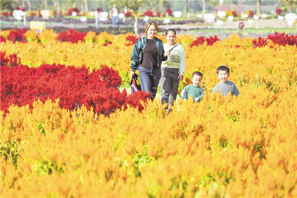 荆州“蔬菜公园”迎客30万