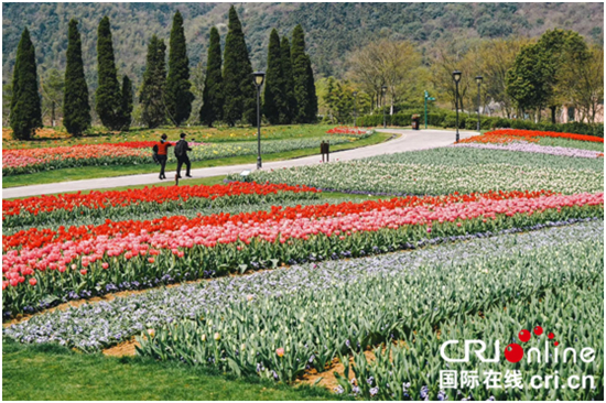 （供稿 旅游图文 CHINANEWS带图列表 移动版）2019常州乡村旅游节暨春到茅山赏花季活动开幕