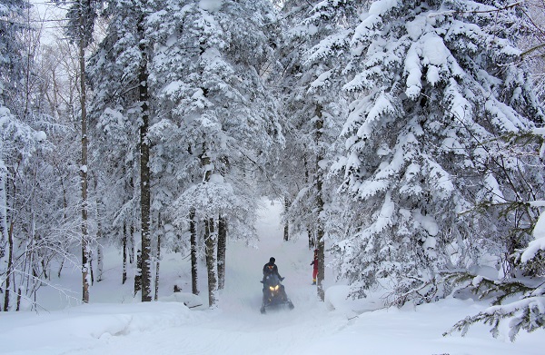 冰雪童话奇观将现 龙江冬季旅游大幕拉开