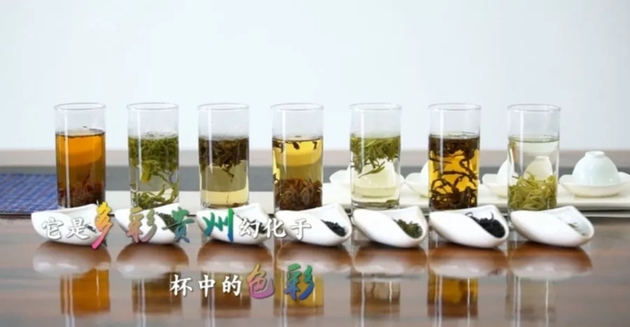 （要闻）杯中一盏茶，多彩贵州情