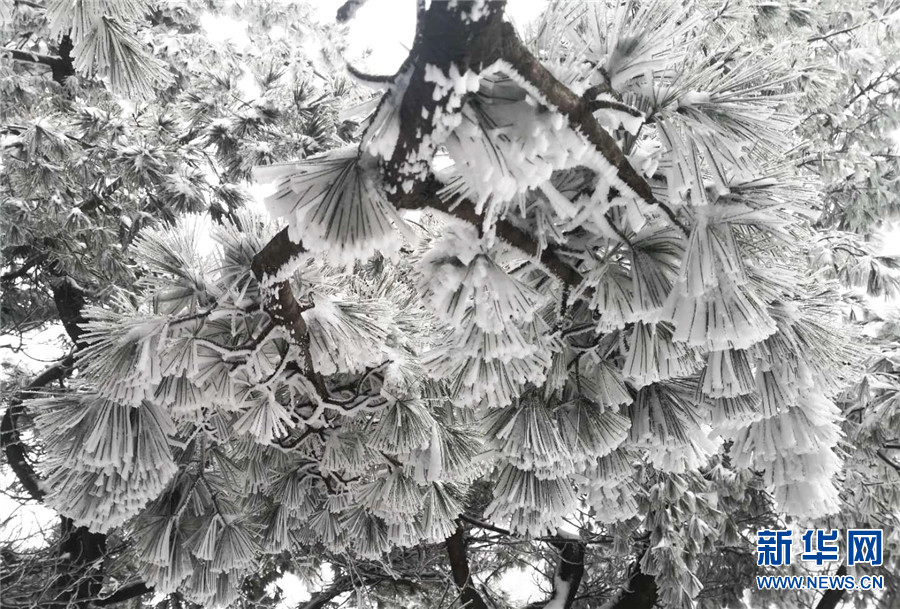 平顶山市鲁山县：初雪到 美景至