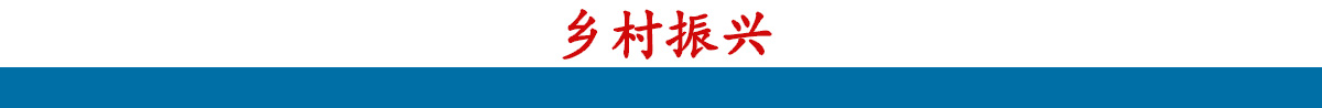 乡村振兴banner_fororder_长副标题2