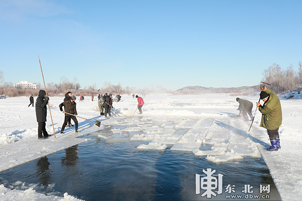 “北极漠河冰雪大观园”开始采冰