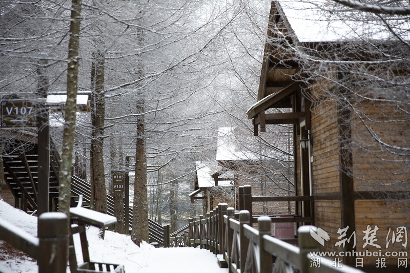 冰清美如画 滑雪神农架 湖北百家校媒聚焦“华中屋脊”