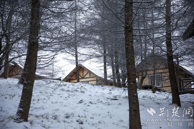 冰清美如画 滑雪神农架 湖北百家校媒聚焦“华中屋脊”