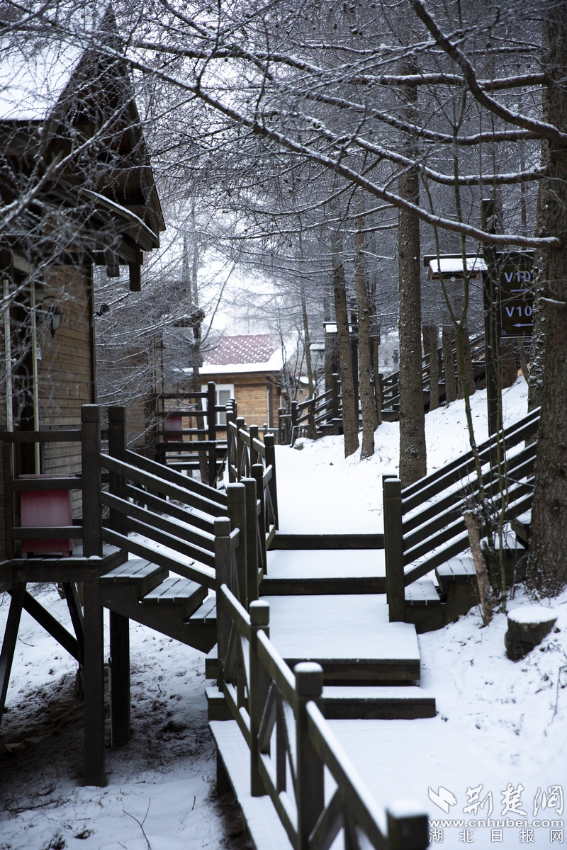 冰清美如画 滑雪神农架 湖北百家校媒聚焦“华中屋脊”