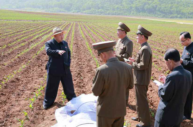 金正恩戴草帽视察田间地头 支持建现代化温室