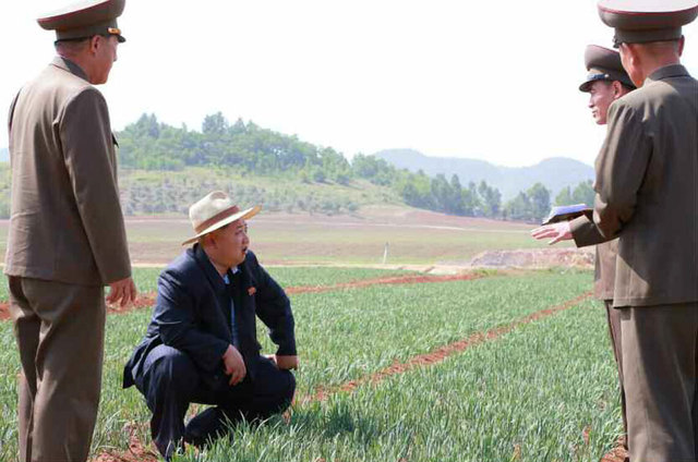 金正恩戴草帽视察田间地头 支持建现代化温室