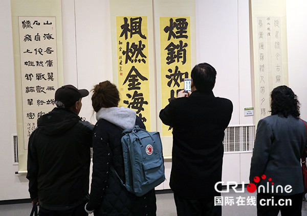 图片默认标题_fororder_市民观看第十一届上元雅集“友谊奖”书法作品展 摄影杨宾.JPG