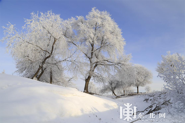 中俄界江黑龙江呼玛段江畔现唯美雾凇美景