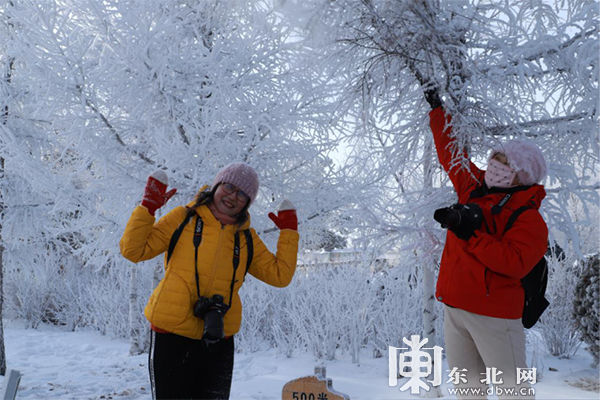 中俄界江黑龙江呼玛段江畔现唯美雾凇美景