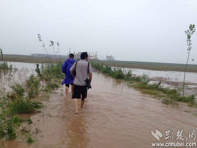 "东方之星"游轮在长江湖北监利段翻沉 县城积水严重