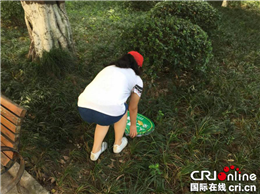 已过审【区县联动】【沙坪坝】沙坪坝“城管体验日”青少年志愿者参与城市管理【区县联动　列表】沙坪坝区青少年志愿者参与城市管理