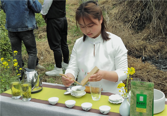 2019象园雾芽开采节举行 正式拉开陕西商洛春茶上市序幕