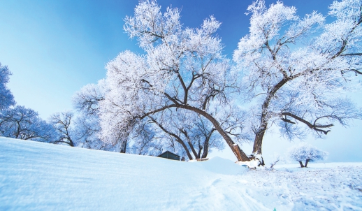 冰雪在童话里晶莹