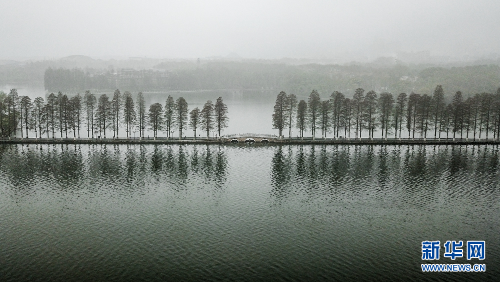 烟雨东湖 雾迷山水