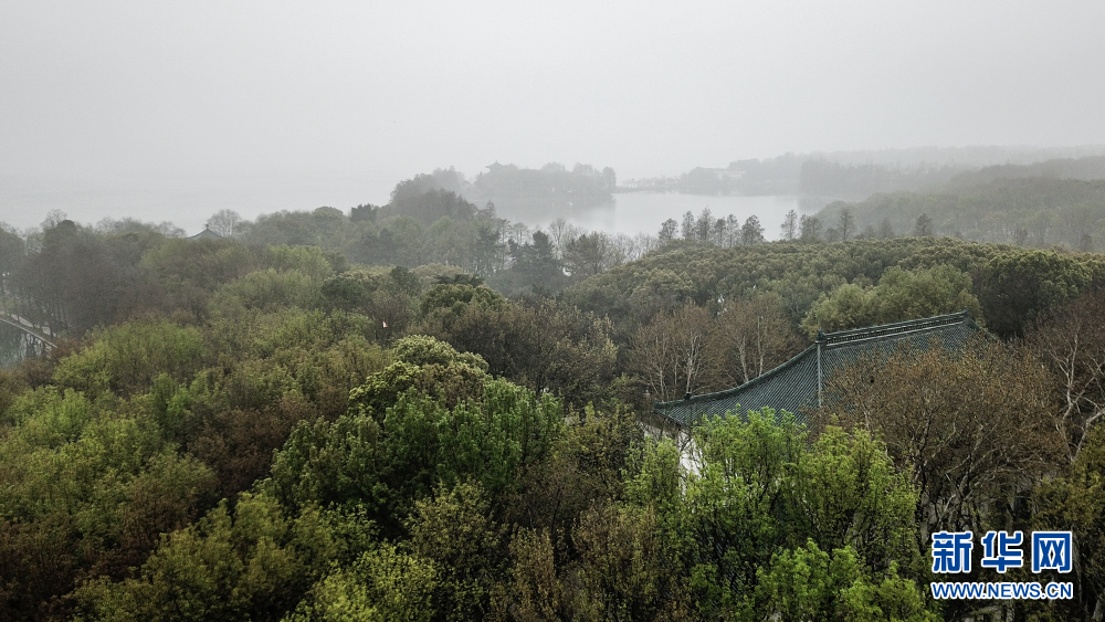 烟雨东湖 雾迷山水