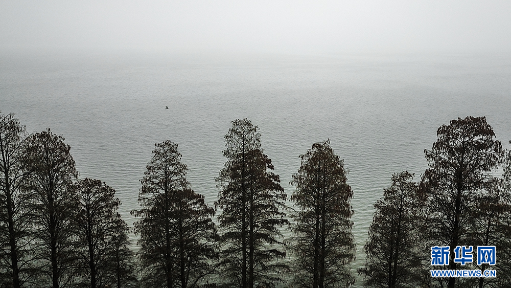 烟雨东湖 雾迷山水