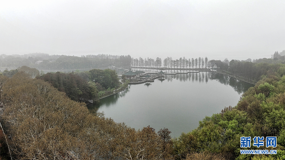 烟雨东湖 雾迷山水