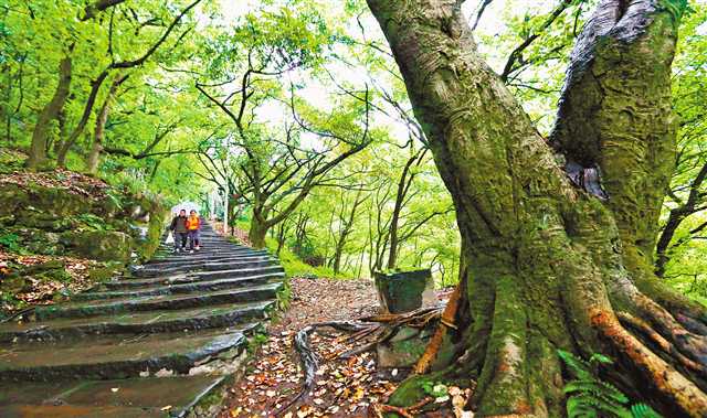 【要闻 摘要】建设山城步道 打造美丽之地幸福路