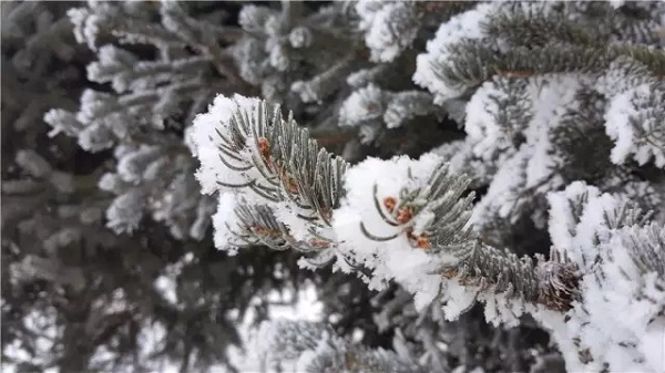 赴“世界的黑河”之约， 享“沸腾吧冰雪”之乐