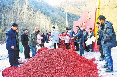 【河南好项目-图片】山茱萸种植助脱贫