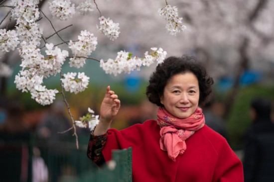 申城“最美地铁口”樱花报春