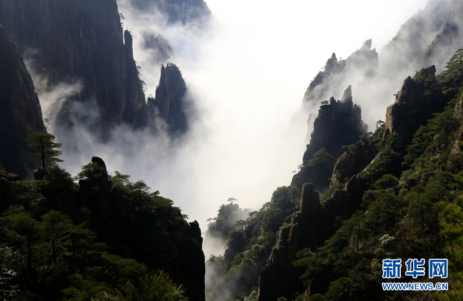 黄山：云海波澜阔 天地钟奇秀