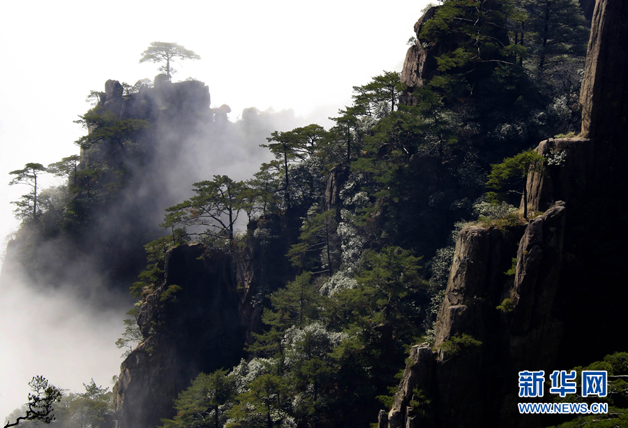 黄山：云海波澜阔 天地钟奇秀