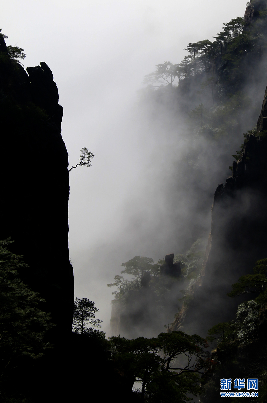 黄山：云海波澜阔 天地钟奇秀