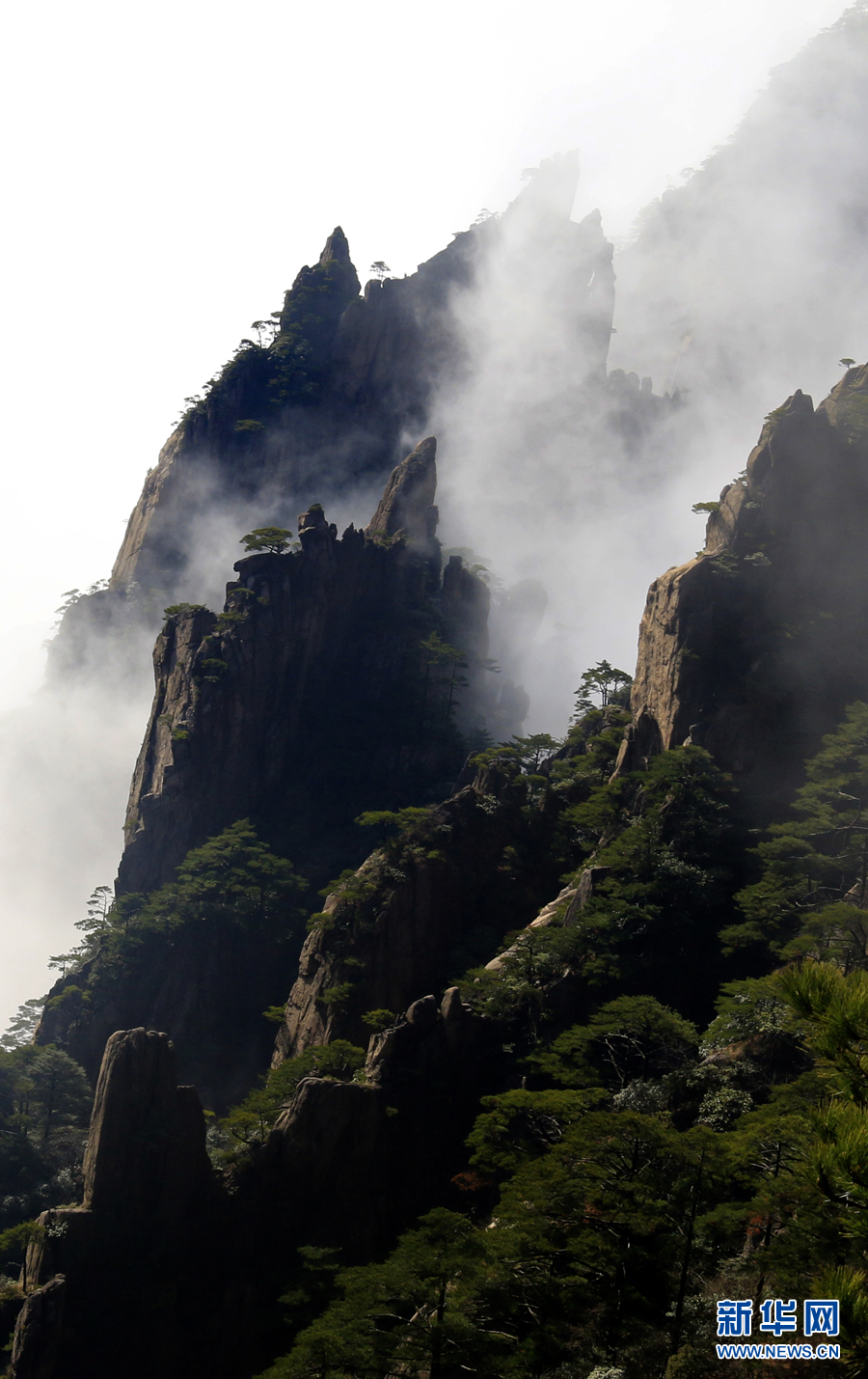 黄山：云海波澜阔 天地钟奇秀