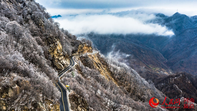 洛阳白云山：云海缥缈 雪山壮观