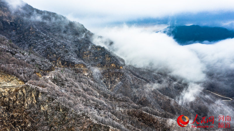 洛阳白云山：云海缥缈 雪山壮观