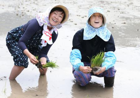 美国驻日本大使体验插秧活动 安倍夫人陪同