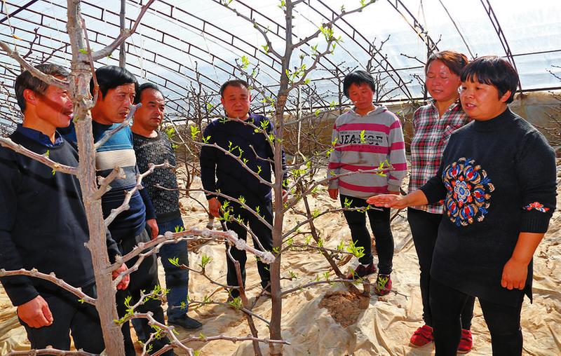 凝聚力量提高质量攻坚拔寨  陕西省代表委员热议打赢脱贫攻坚战