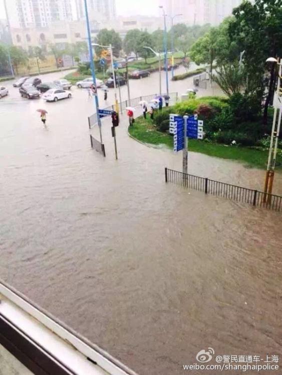 上海遭暴雨袭击 市民出门直接观“海景”