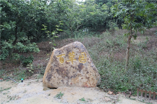 磁窑村：千年古村换新颜