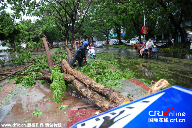 台风"鲸鱼"掠过三亚 道路积水大树倒地