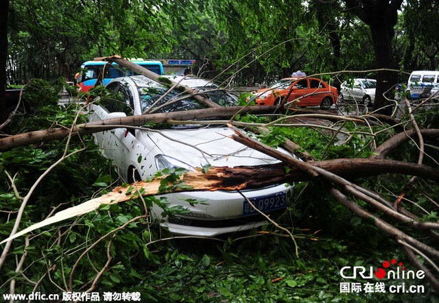 台风"鲸鱼"掠过三亚 道路积水大树倒地