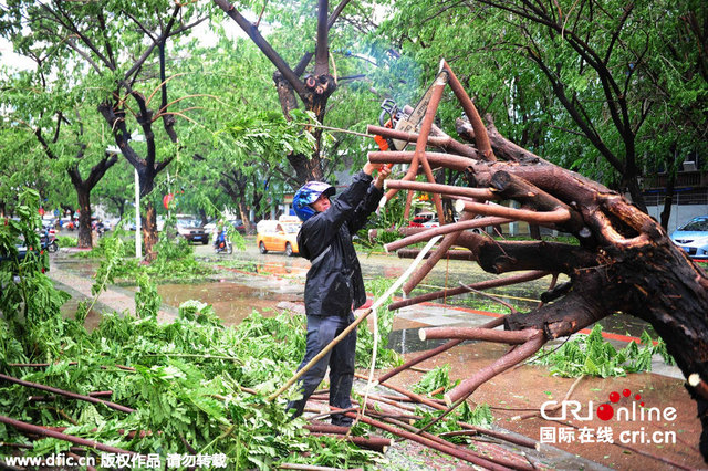 台风"鲸鱼"掠过三亚 道路积水大树倒地