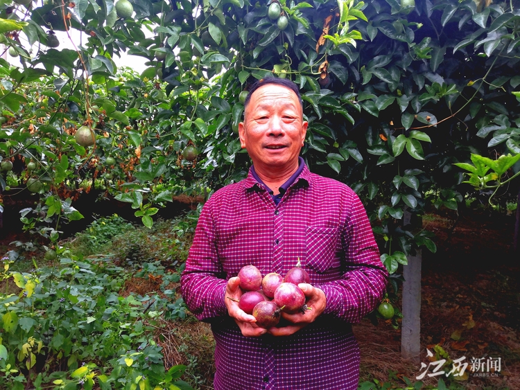 【中国的脱贫智慧】扶贫印记丨寻乌高排村的美丽蝶变