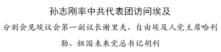 （要闻）孙志刚率中共代表团访问埃及