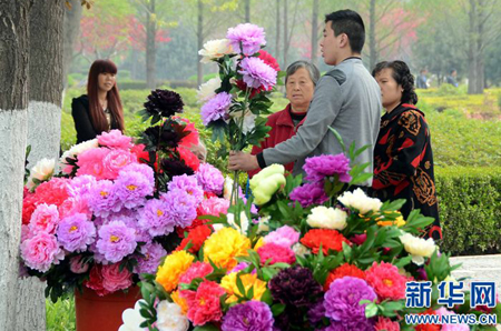 Luoyang: To Elaborate "Peony Economy"