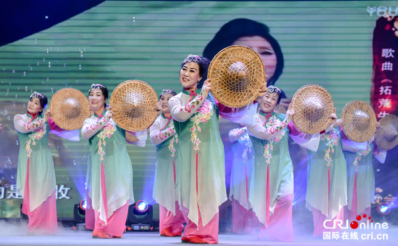 首届石家庄“幸福邻里节”暨退休人员迎新年文艺演出举行