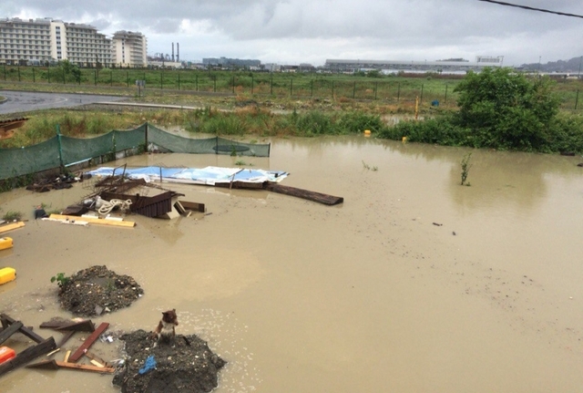 俄索契暴雨成灾变泽国 民众乘气垫出行