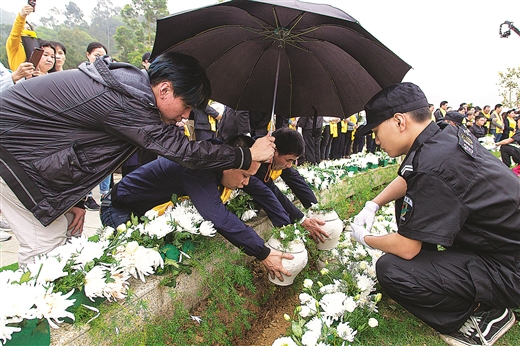 绿色殡葬树新风 节俭治丧惠民生