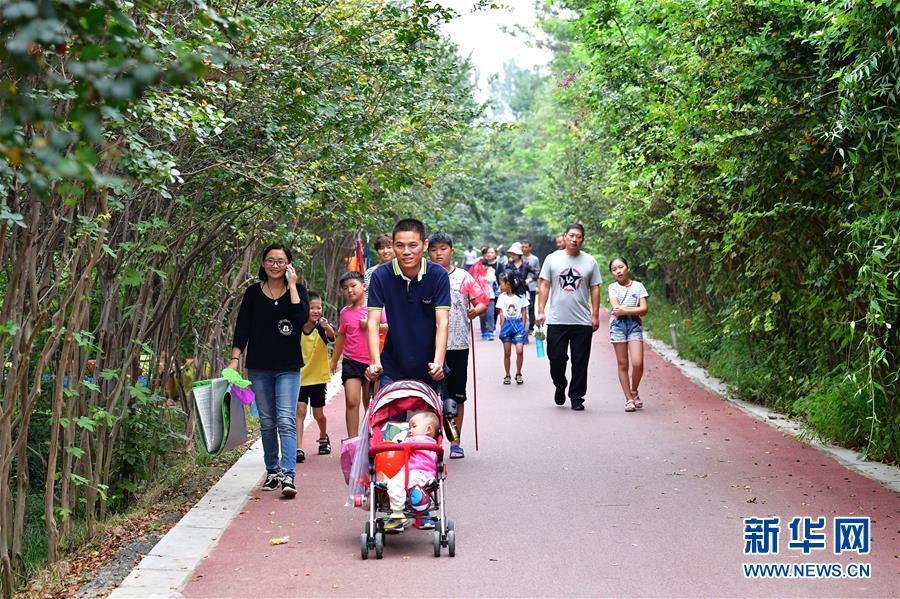 河南鹤壁：淇河湿地生态美