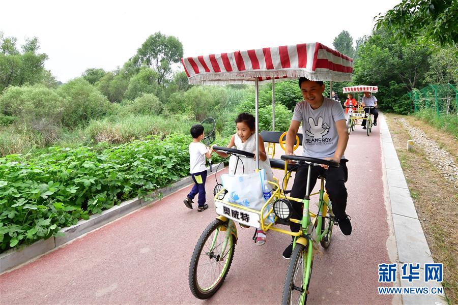 河南鹤壁：淇河湿地生态美