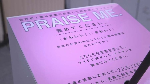 日本现特殊连衣裙 被夸漂亮就会“开花”